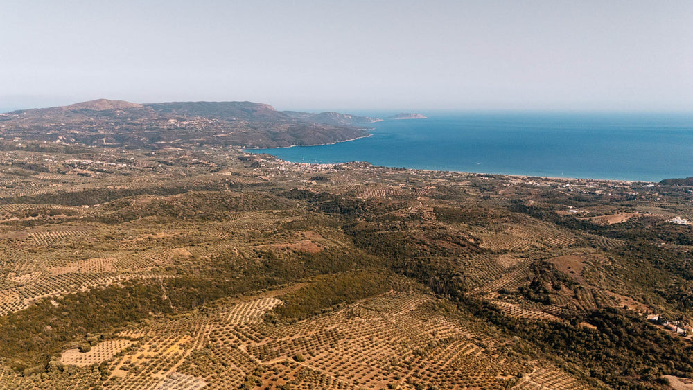 Summer at Yapapi: Olive Trees, Sea Breezes, and the Greek Way of Life