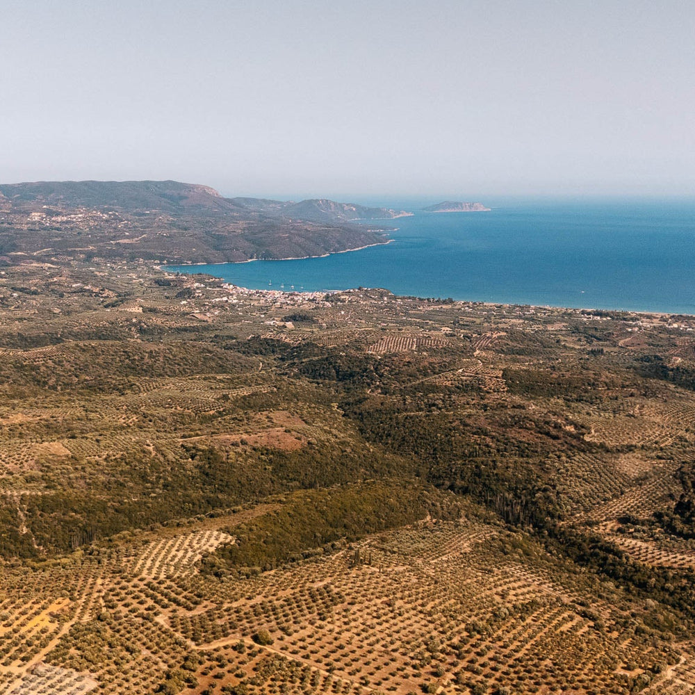 Summer at Yapapi: Olive Trees, Sea Breezes, and the Greek Way of Life