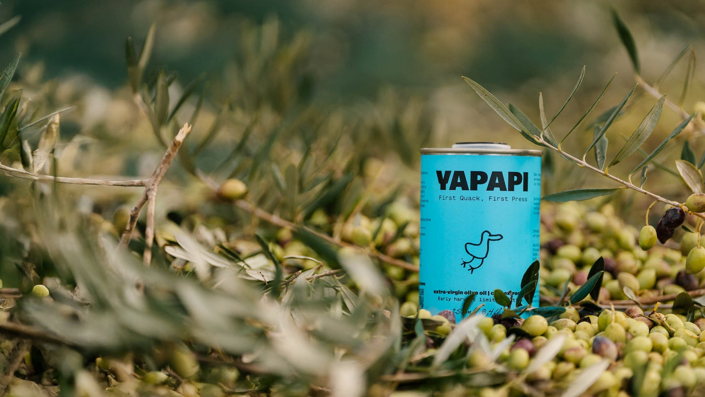 Yapapi Early Harvest Olive Oil 2025 – Agourelaio, 600 Polyphenols, Limited Edition